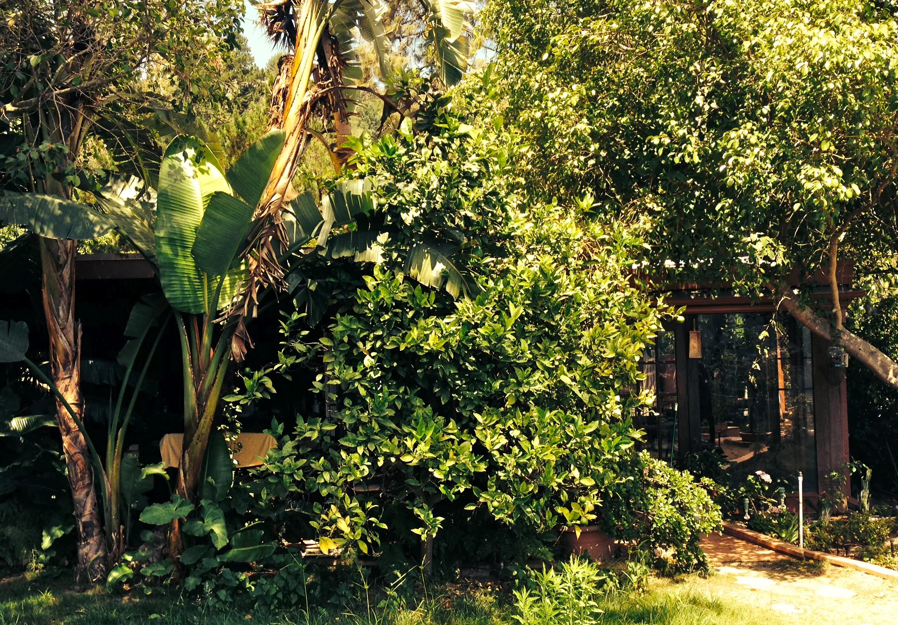 photo 3.JPG