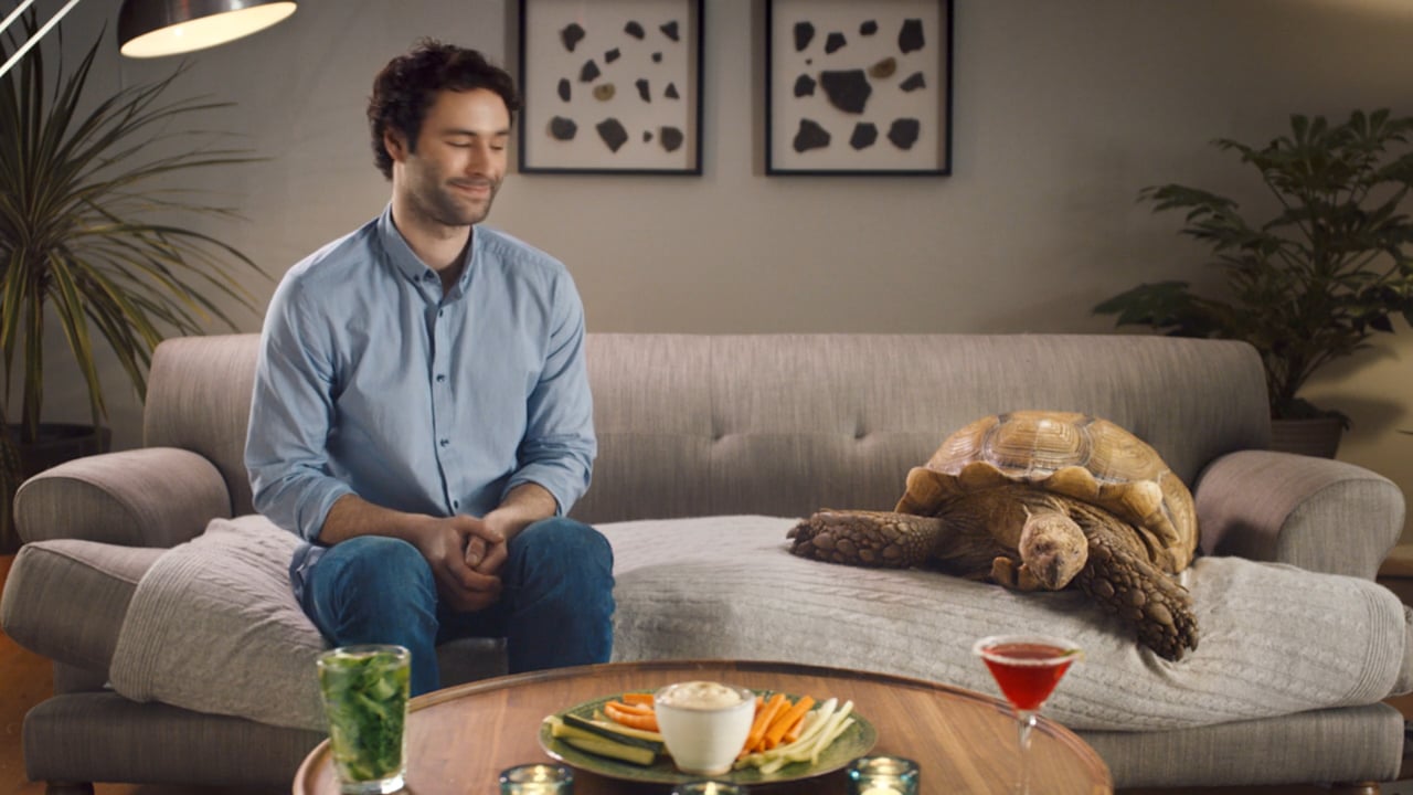 eHarmony 30" tvc 'Tortoise'