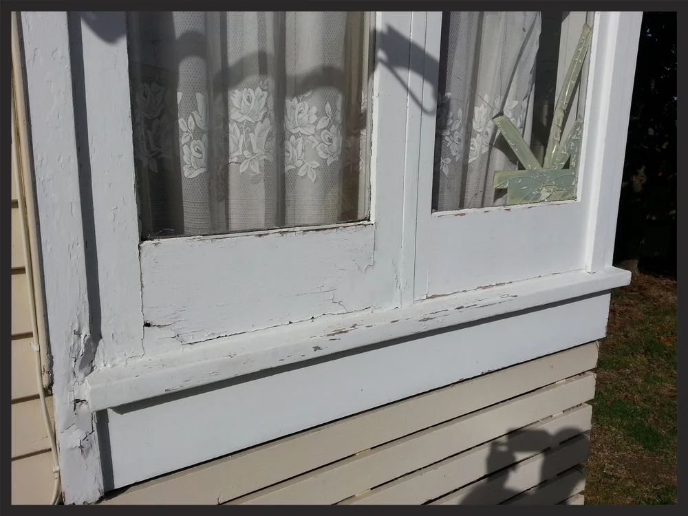 The Rot Doctor Window Rot Repair Auckland