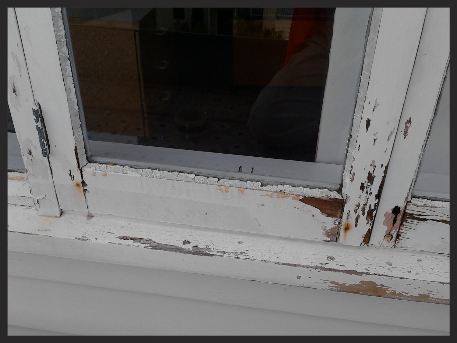 The Rot Doctor Window Rot Repair Auckland