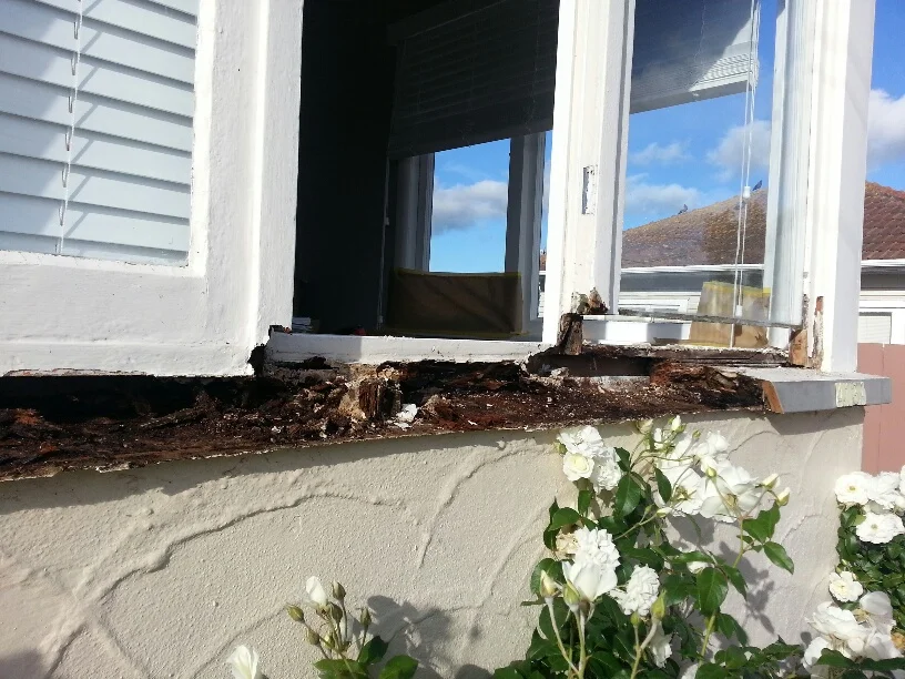 Mount Albert - Extensive Rot Repair