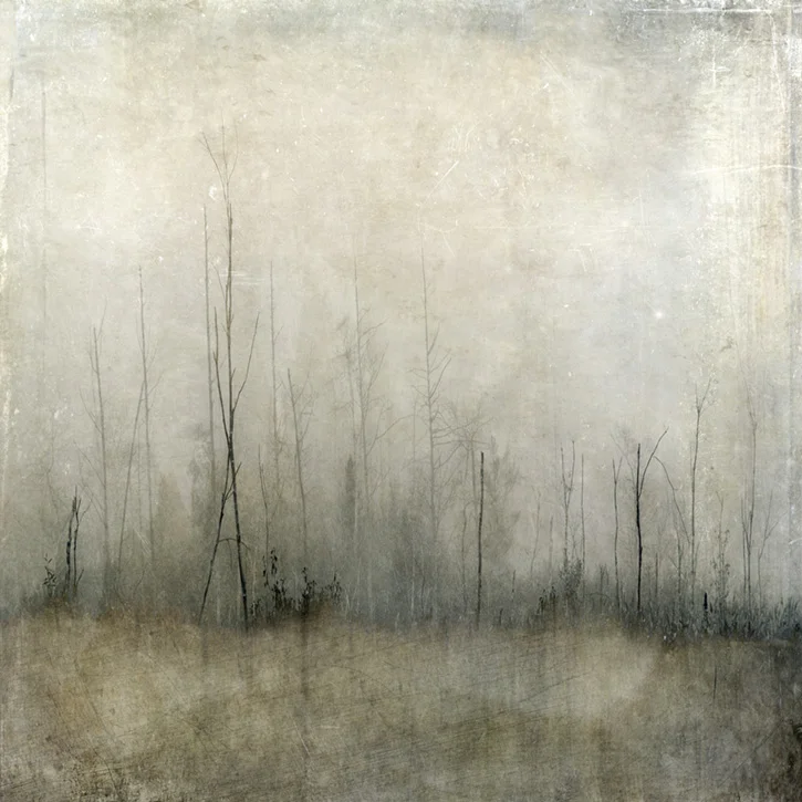 "fog at blackman field"