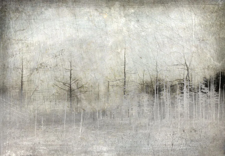 "renewal"