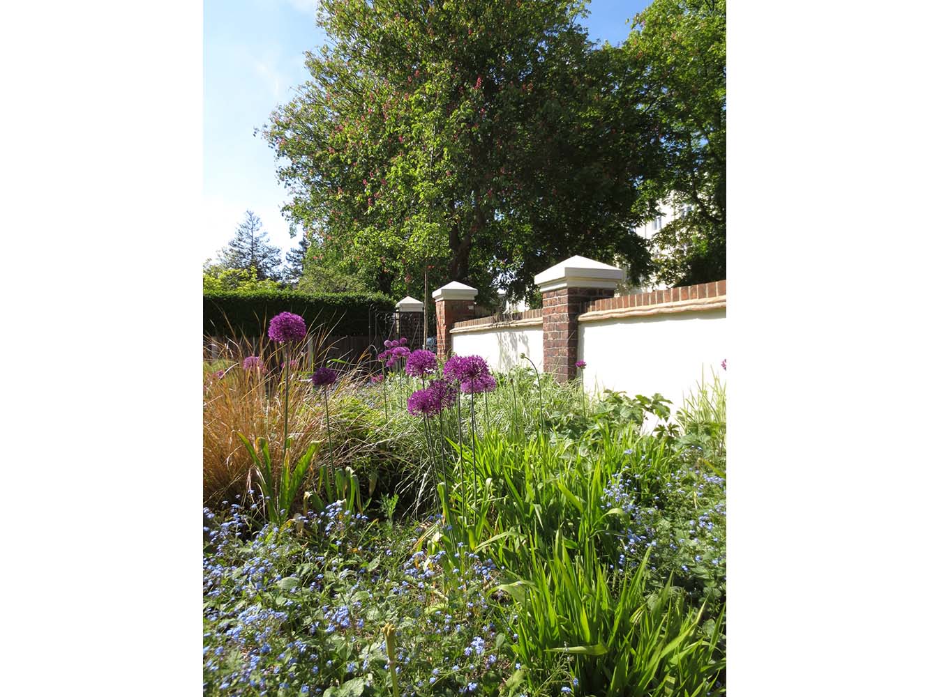 Feverfew_Garden_Design_FR_EastMolesey_005.jpg