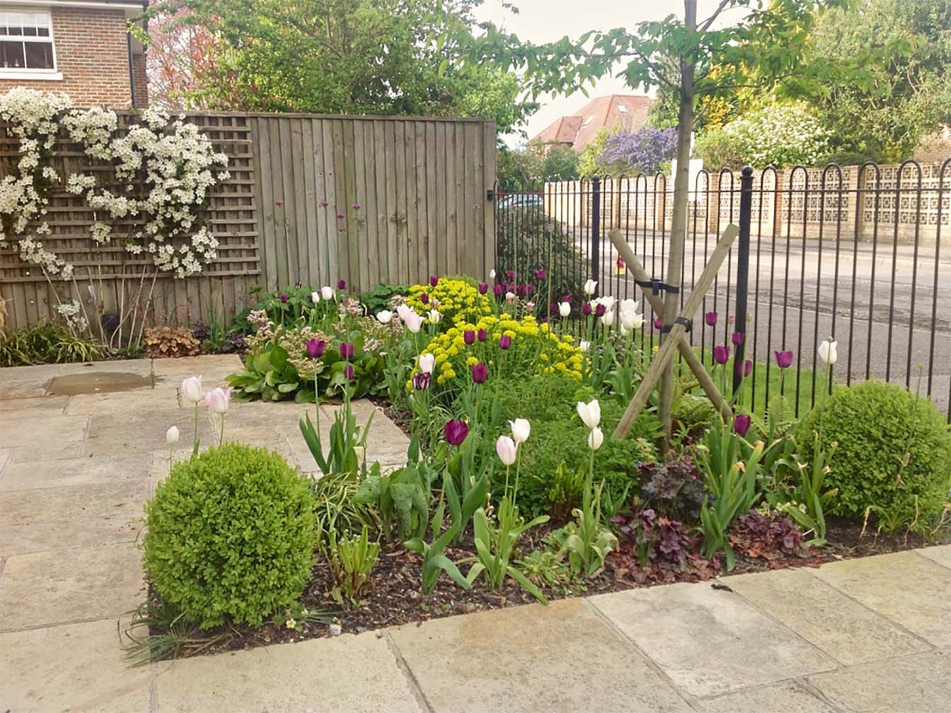 Feverfew_Garden_Design_FR_EastMolesey2_003.jpg