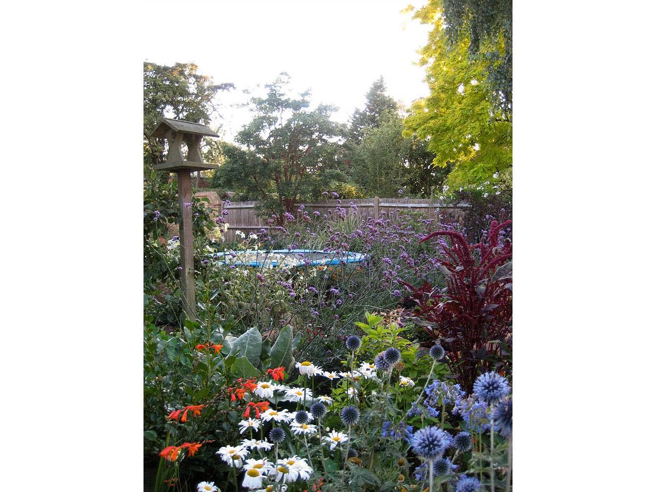 Feverfew_Garde_Design_EastMolesey_006.jpg