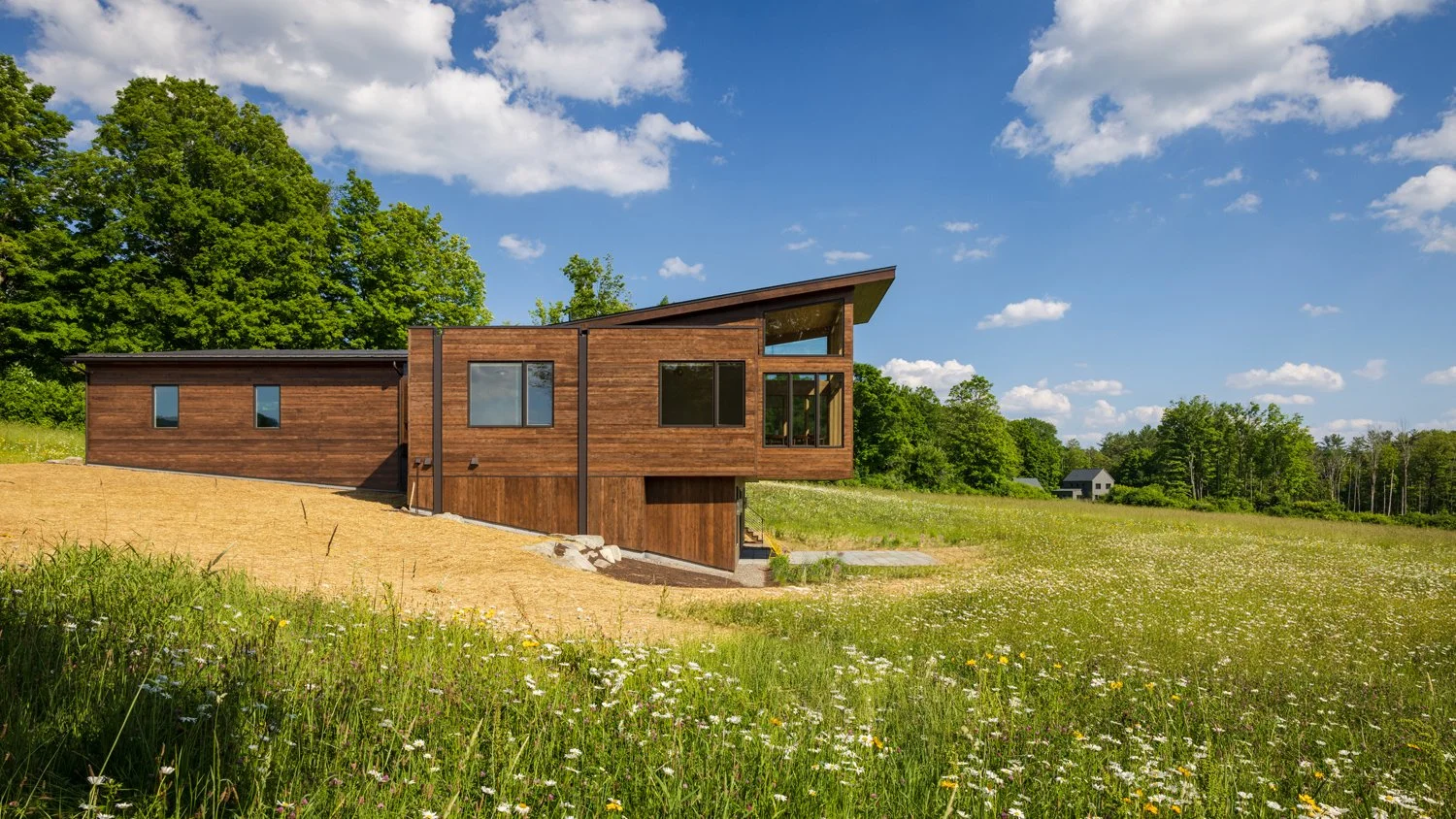 Meadow and Distant Mountain Views
