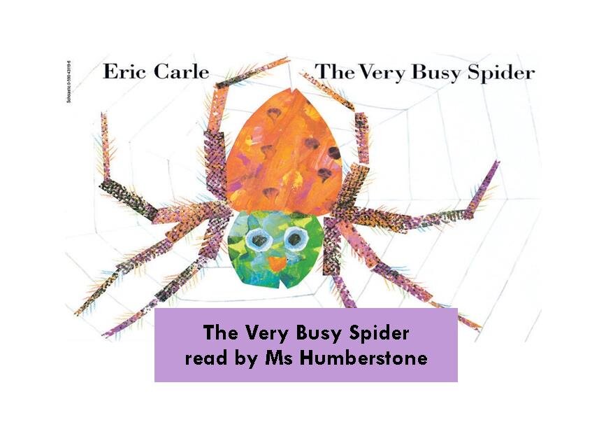 The Very Busy Spider.jpg