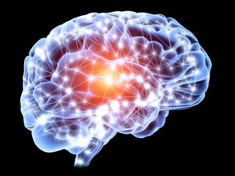Brain pic.jpg