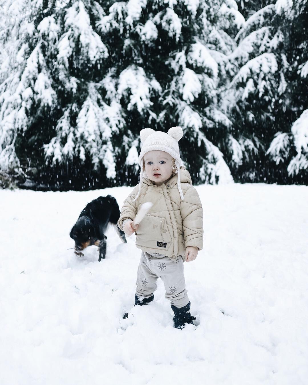 Image by @partyforthree