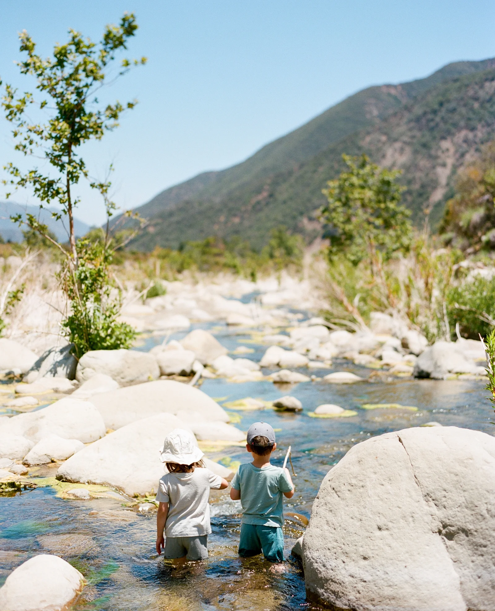 Two little explorers soaking up, and soaking in, nature. // pictured in merino tees and shorts