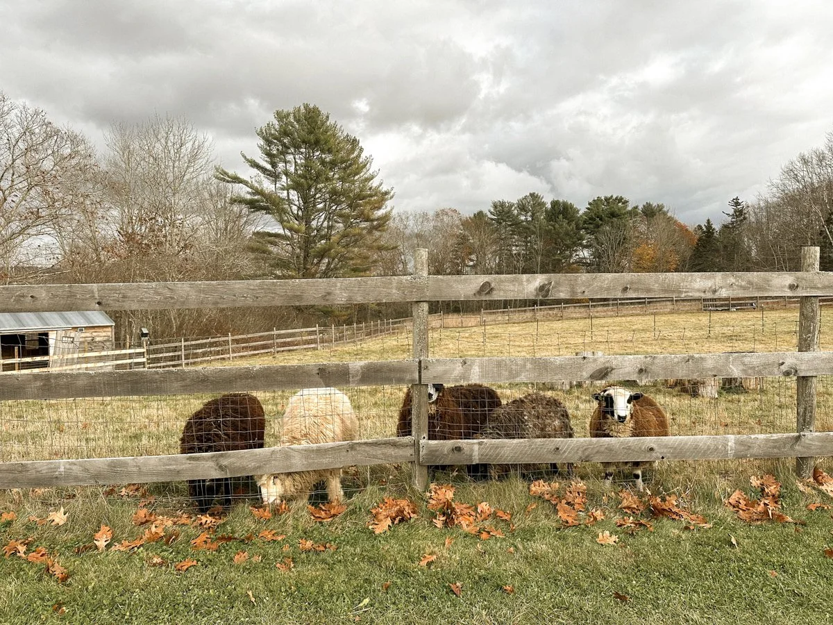 Tops'l Farm Cozy Creative Retreat_by Sarah Box-002.JPG