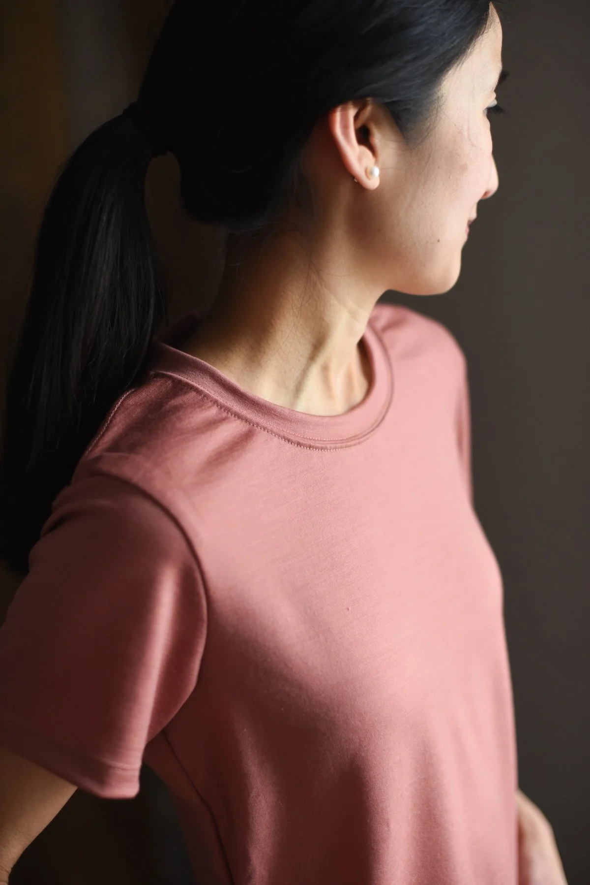 chasing windmills women's merino wool classic tshirt-005.JPG