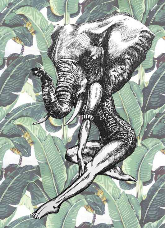Elephantpaper.jpg