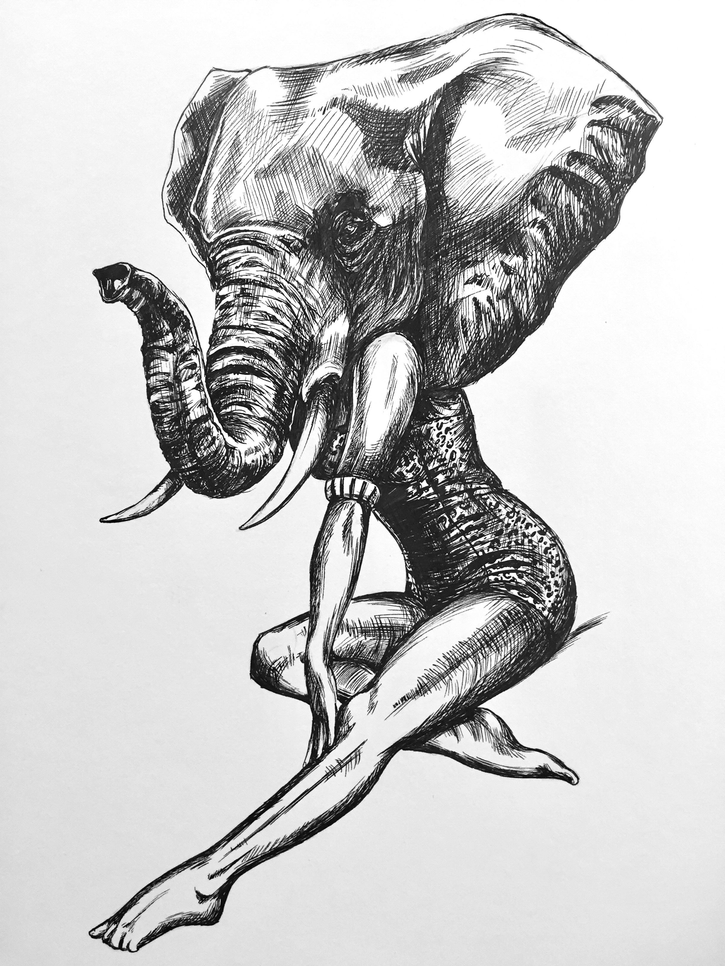 Pinup Elephant.jpg