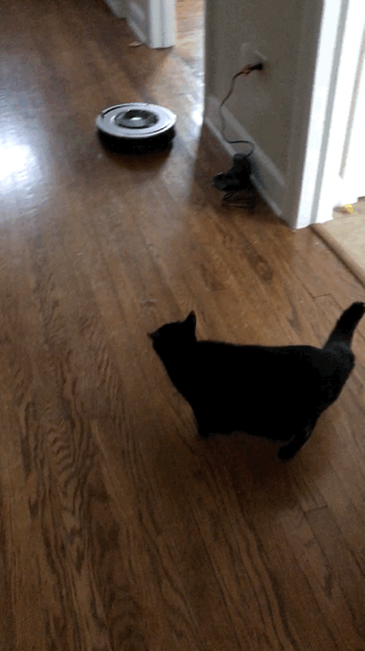 Elivra and Riggs have gotten used to it, but Murtaugh is still terrified of it. He runs upstairs and hides when it comes on. 