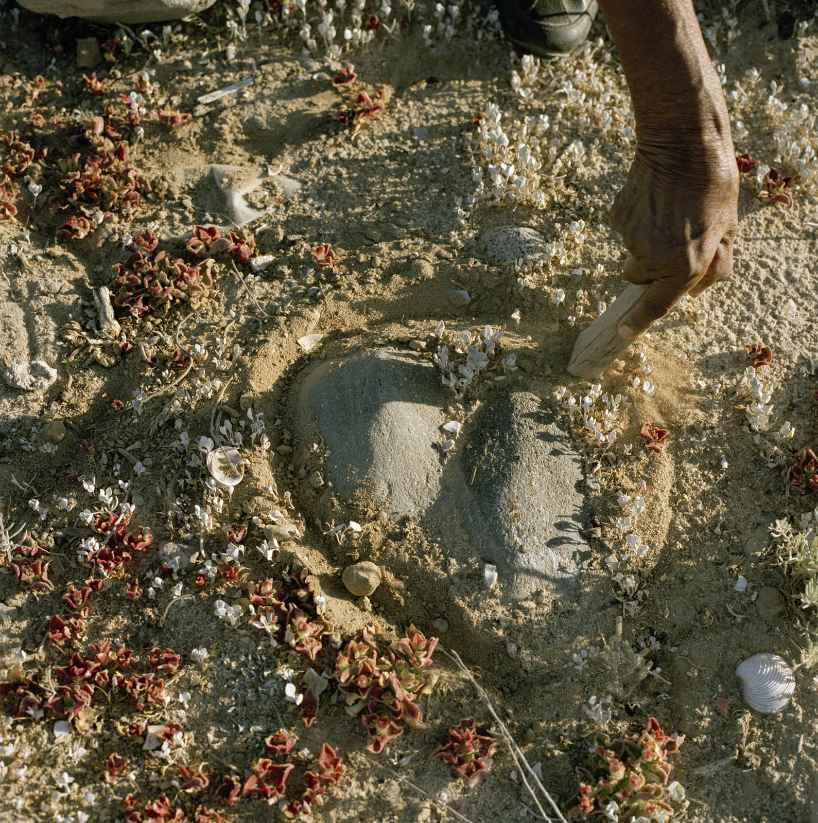 MM7782_0298.jpg