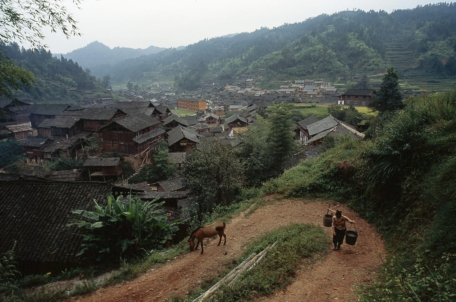 MM7494_0007.jpg