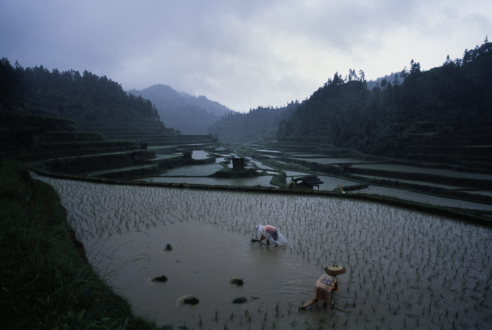 mm7494_0297.jpg