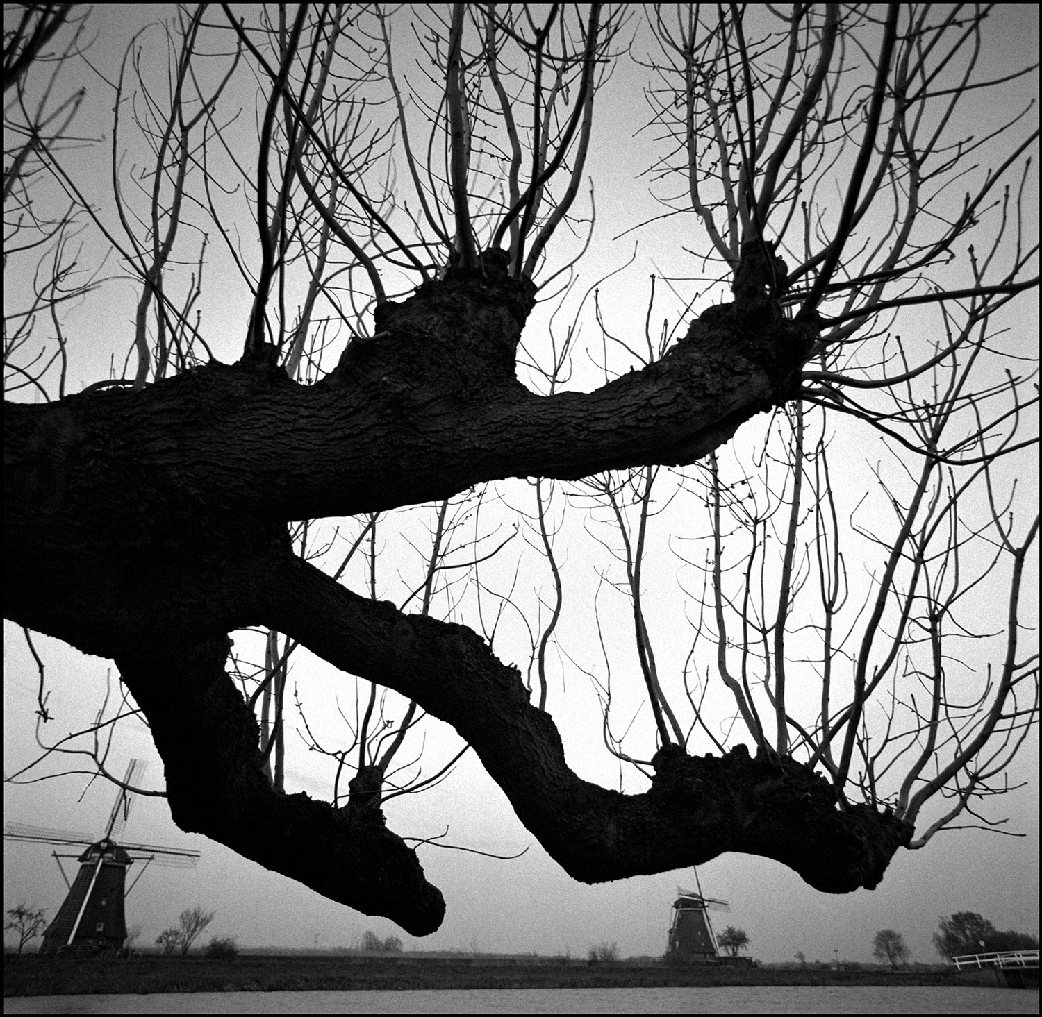 Vincent Van Gogh: Inspired by Light