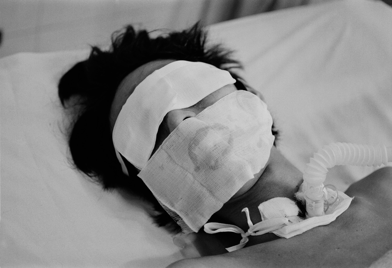 Avian Flu: Panic or Pandemic