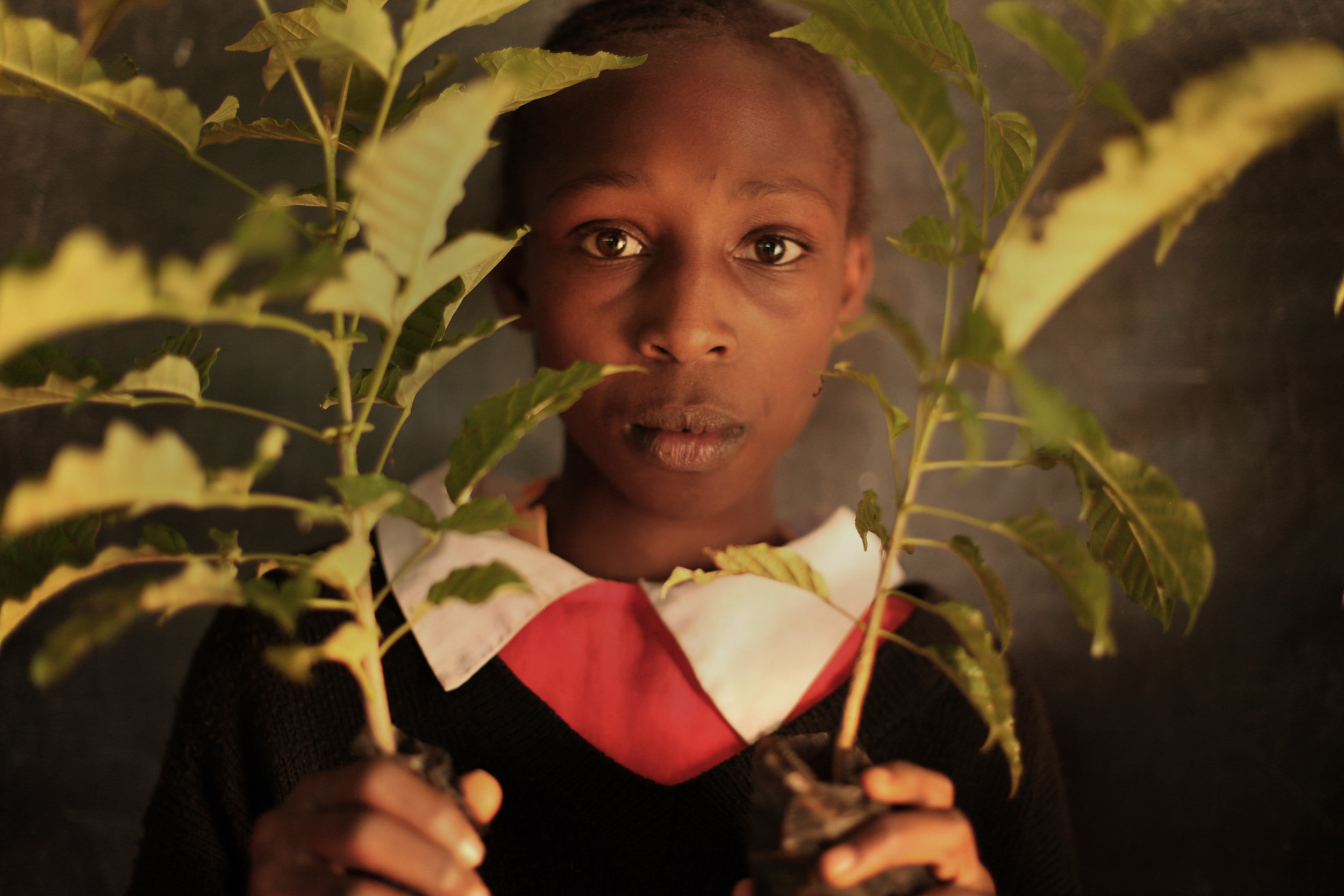 Ripple Effect Images