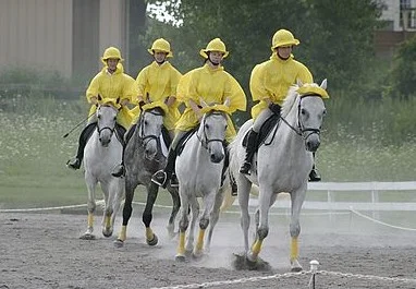 Halloween Happens at Chestnut Ridge Dressage Show