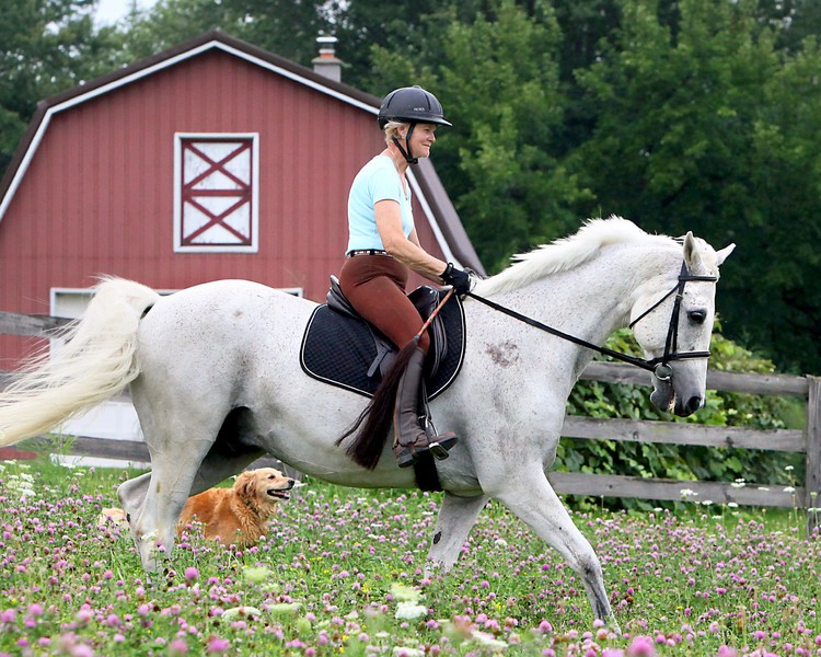 Saddle up for Roswell Trail Ride Fund Raiser