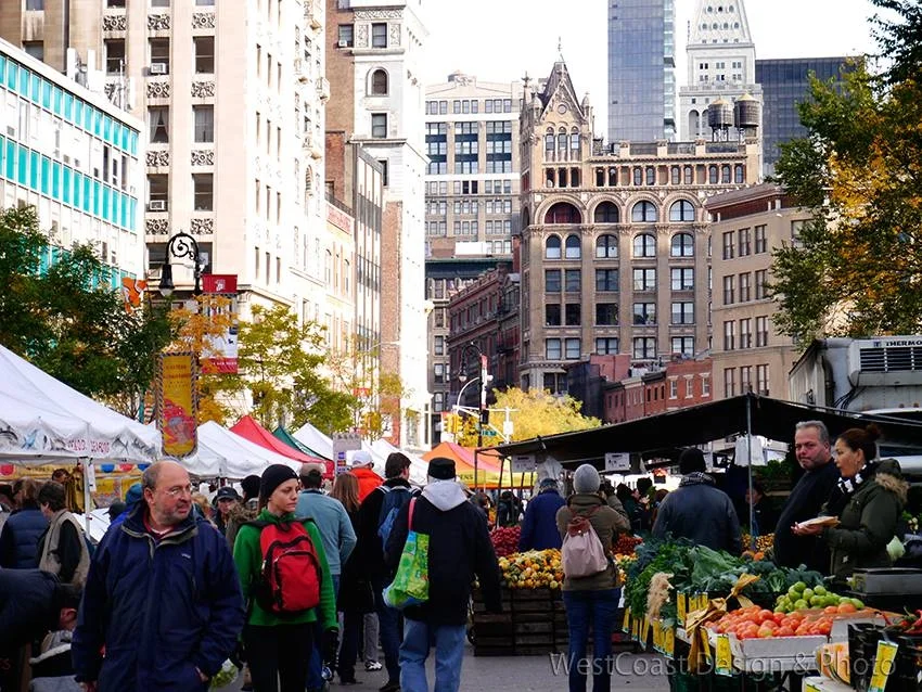 Fresh Eggs: A Response from The City