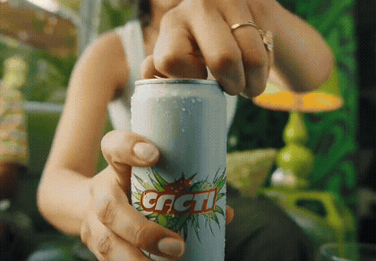 Cacti Spiked Seltzer — Meredith G. Niles