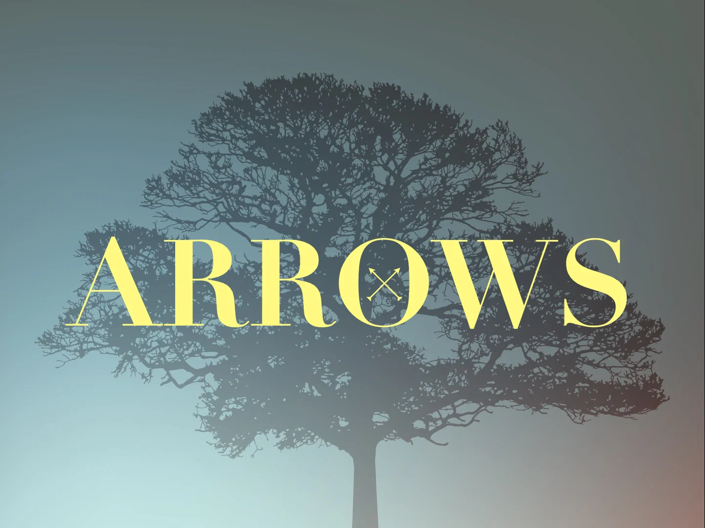 Arrows.jpg