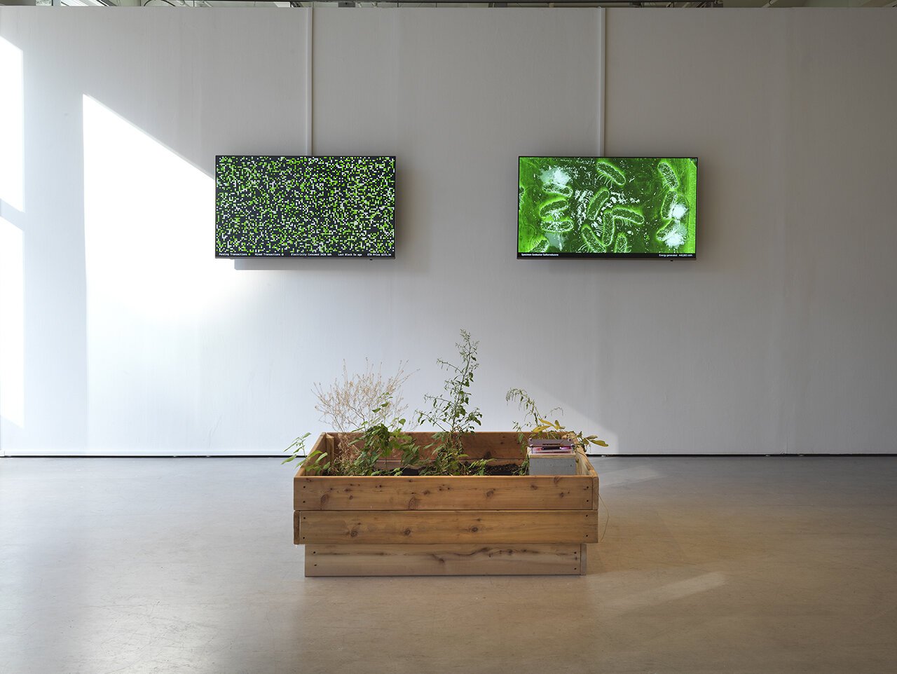  Stephanie Rothenberg,  Proof of Soil , installation view,  Re: Working Labor , Sullivan Galleries, School of the Art Institute of Chicago, 2019. Photo: Tom Van Eynde 