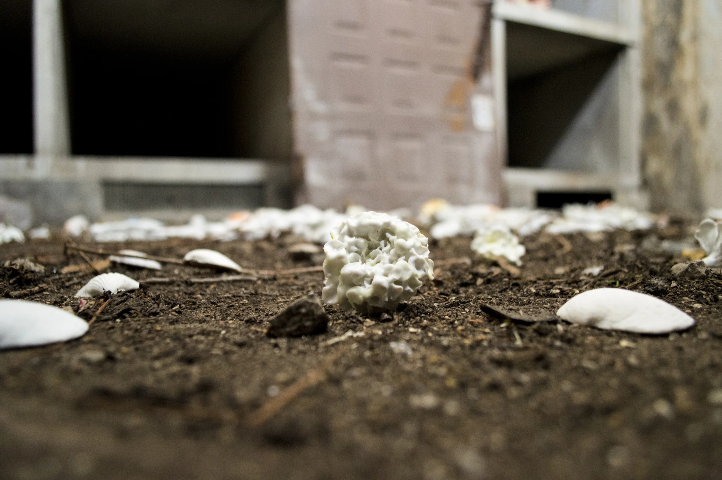 jessica389.jpg