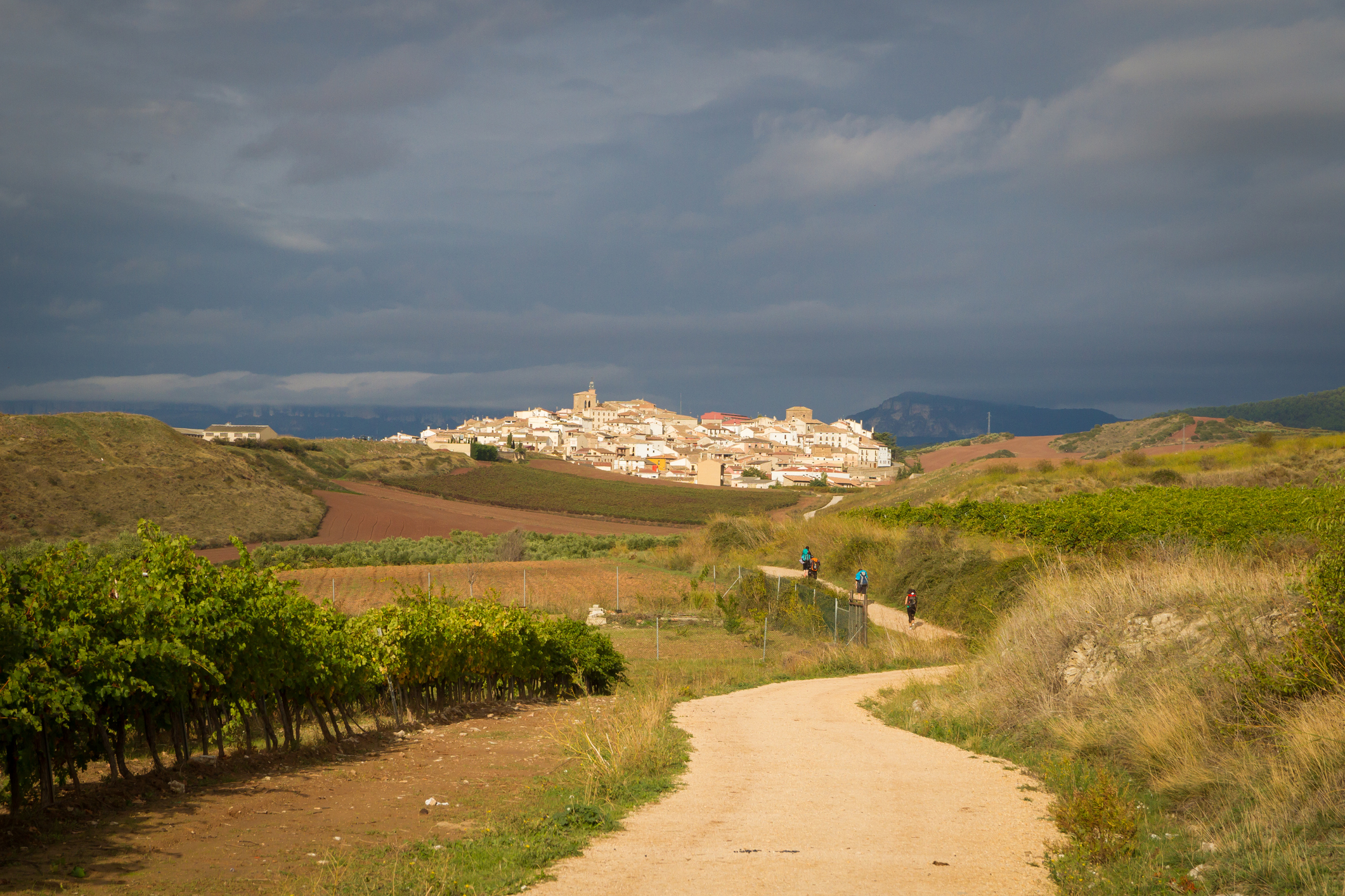 What is the Camino?
