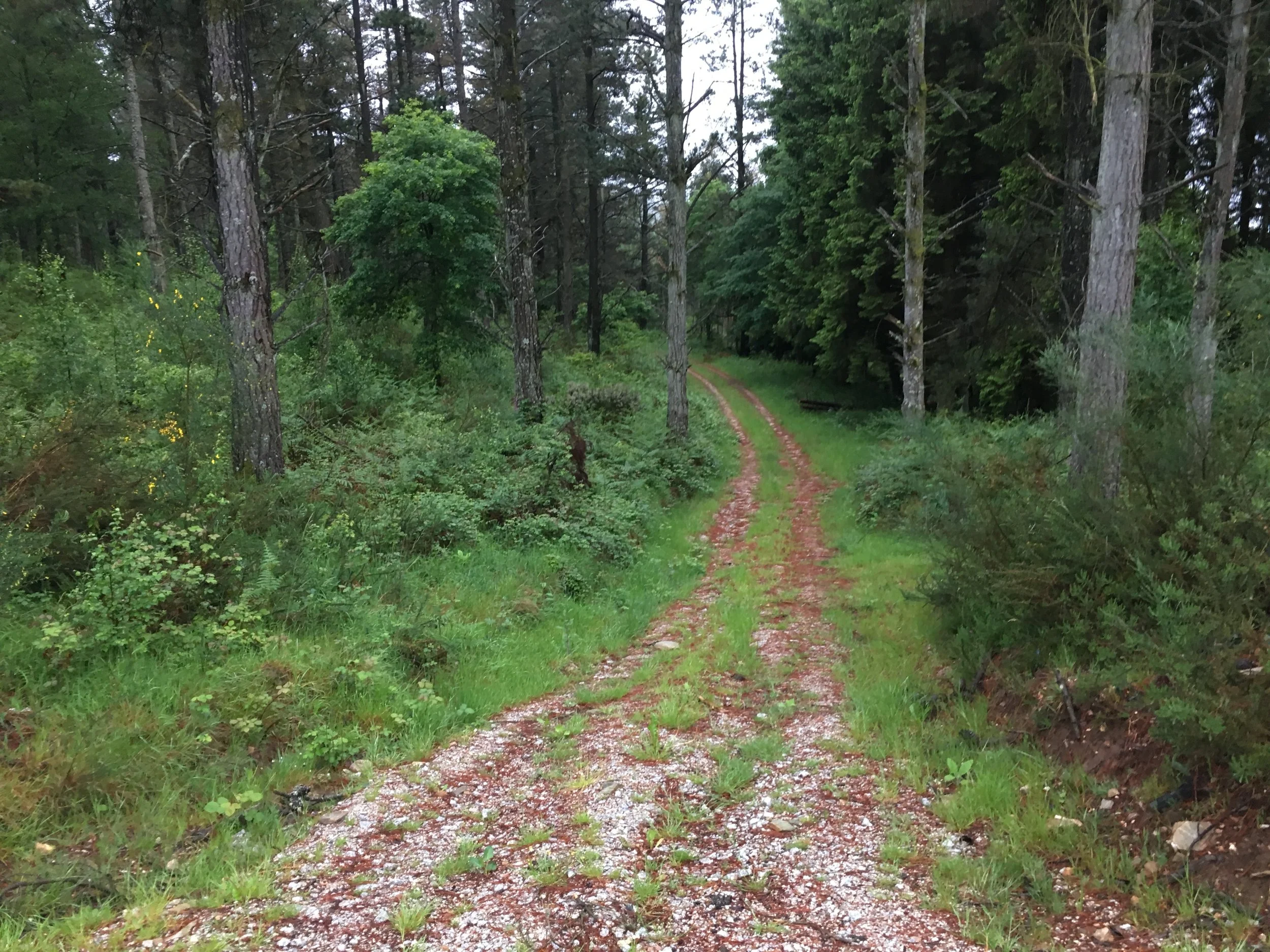 Walk. Eat. Sleep.  Repeat.