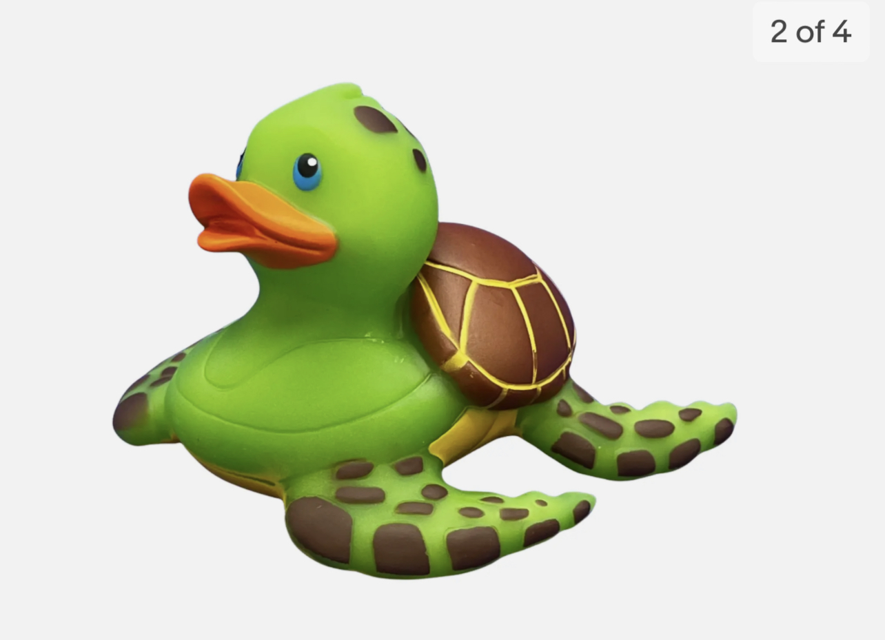 Turtle2.png