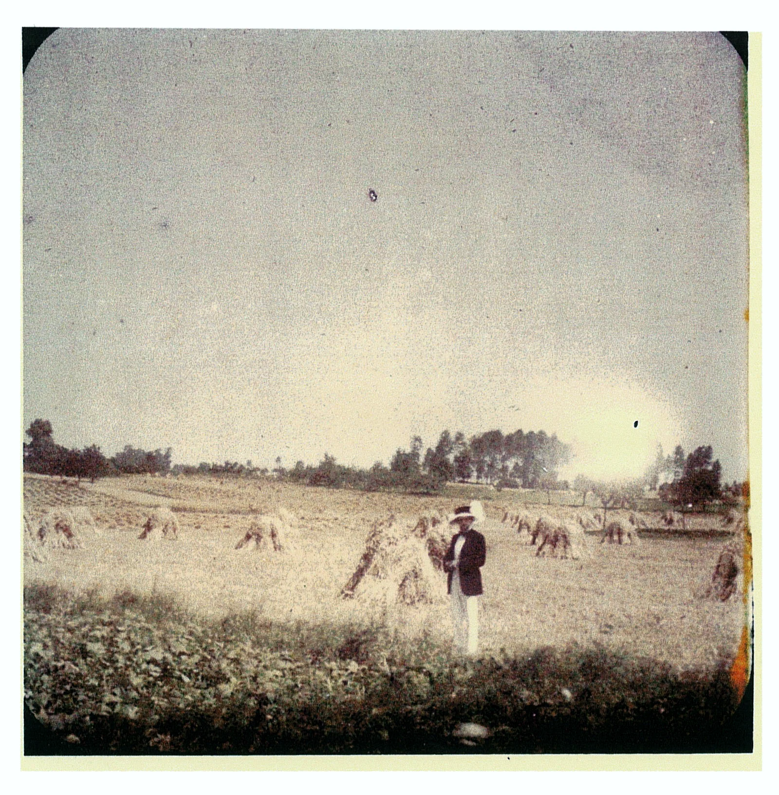 Estate of Huguette Clark from EmptyMansionsBook.com