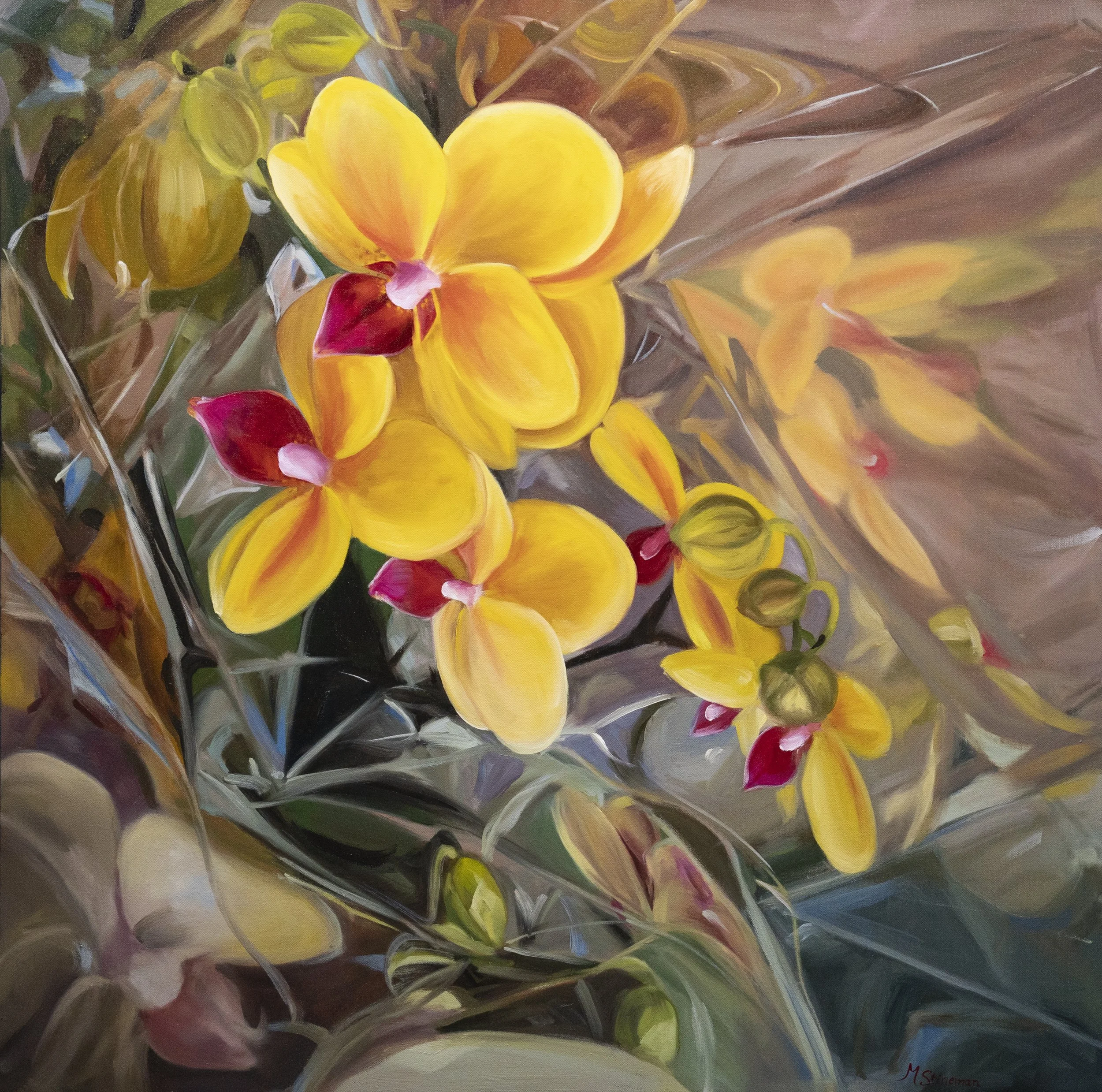 Yellow Orchids