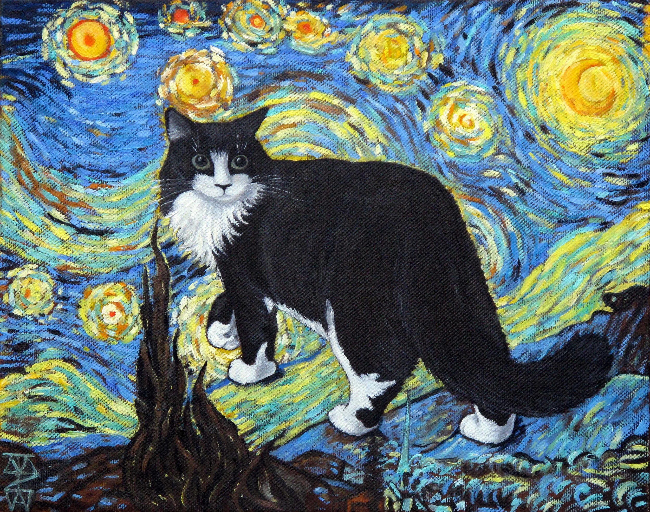 Starry+Starry+Cat.jpg
