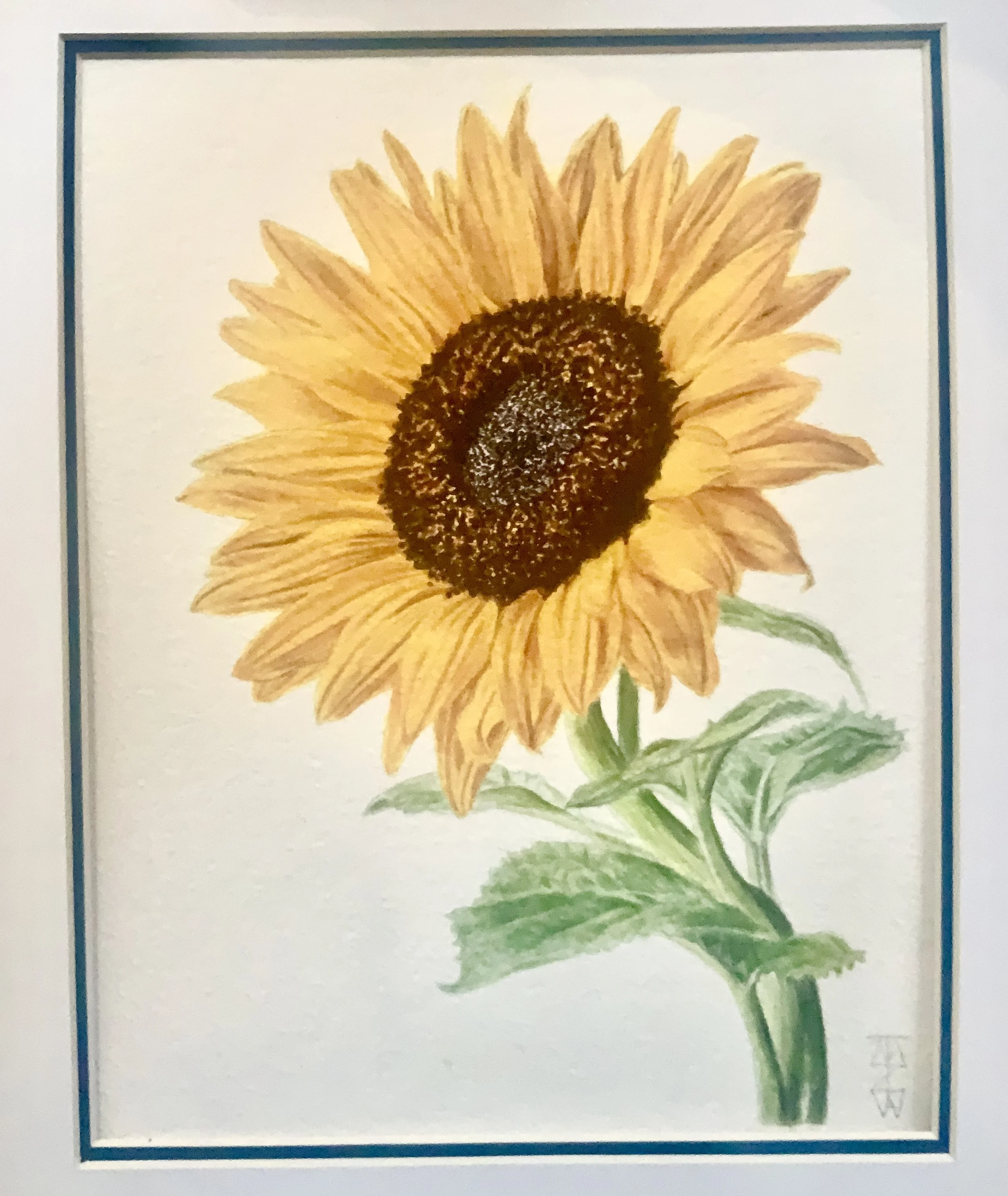 Watercolors