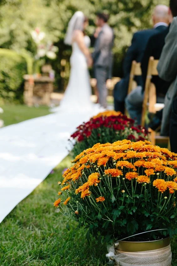 Mums are a perfect flower to decorate your fall wedding with. They are the perfect color and are in full bloom. Photo credit: Deep Pearl Flowers