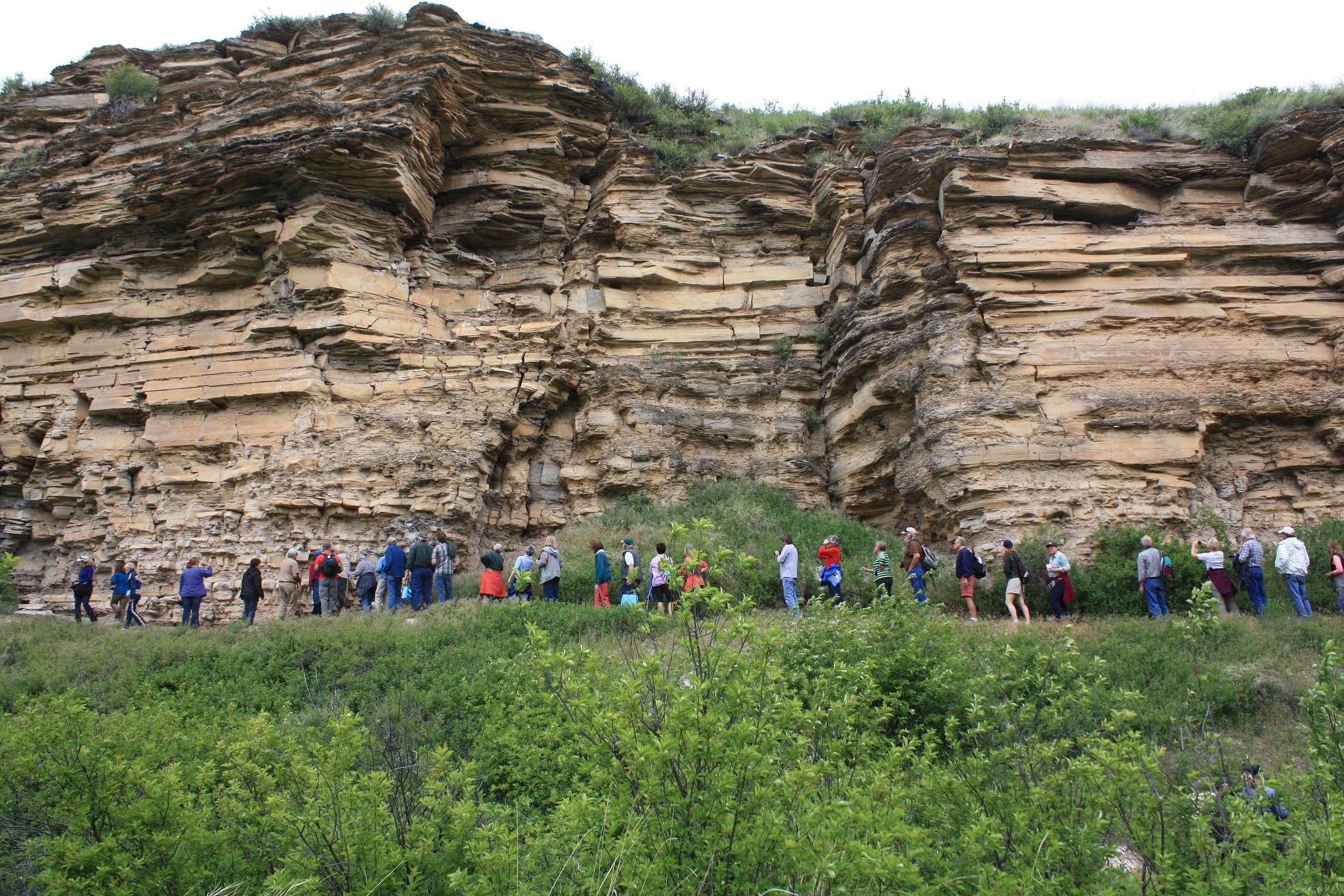Bear Gulch Rock Art Tour — Montana Preservation Alliance