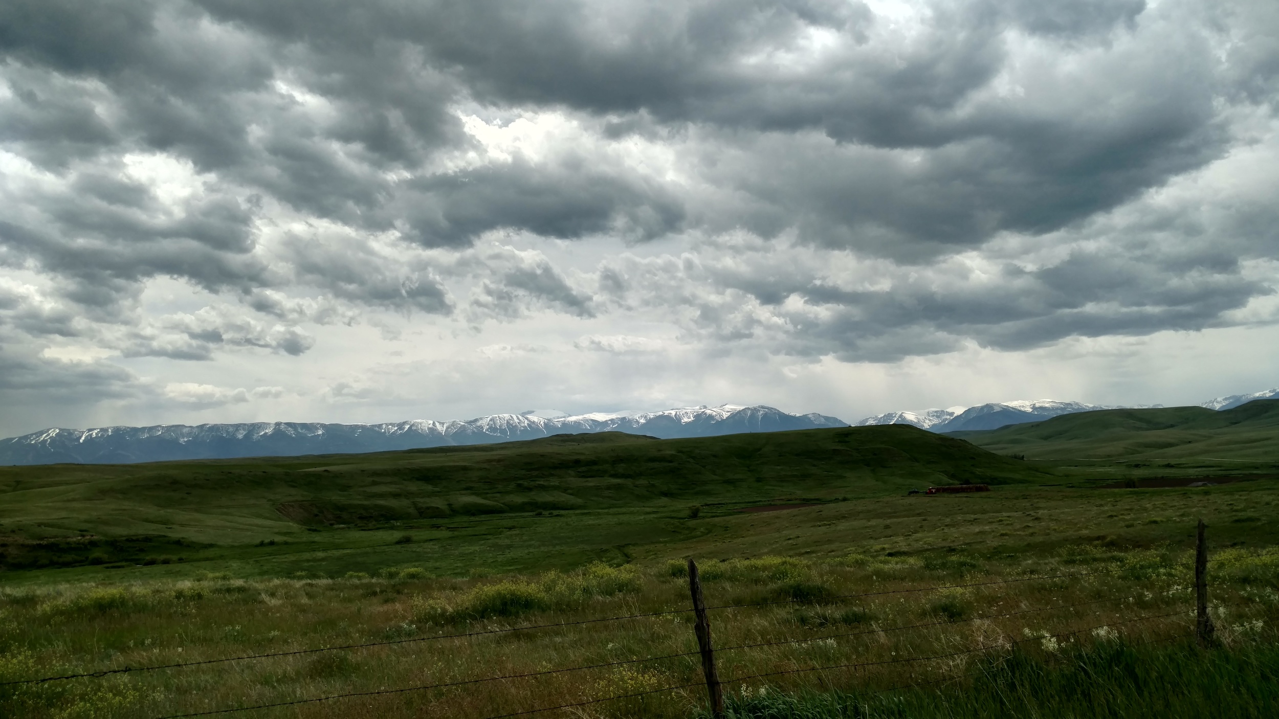 IMG_20160602_134311440_HDR.jpg