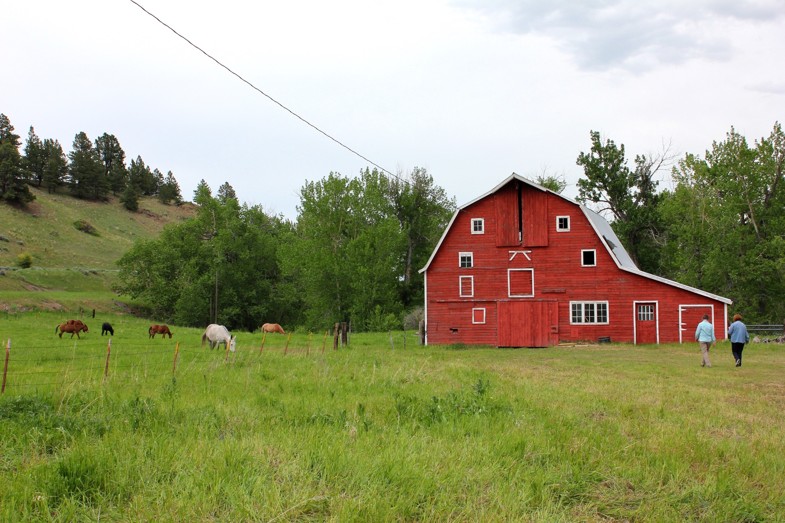 Torgrimson Place 03 barn small.jpg