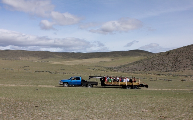 Dillon Preservation Road Show Wheat Bison Jump 009 web.jpg