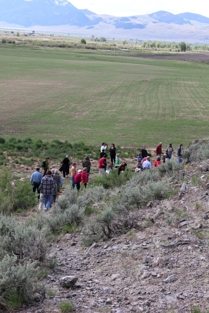 Dillon Preservation Road Show Wheat Bison Jump 026 web.jpg