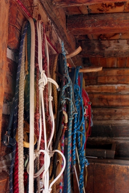Dillon Preservation Road Show Tash Ranch 004 web.jpg