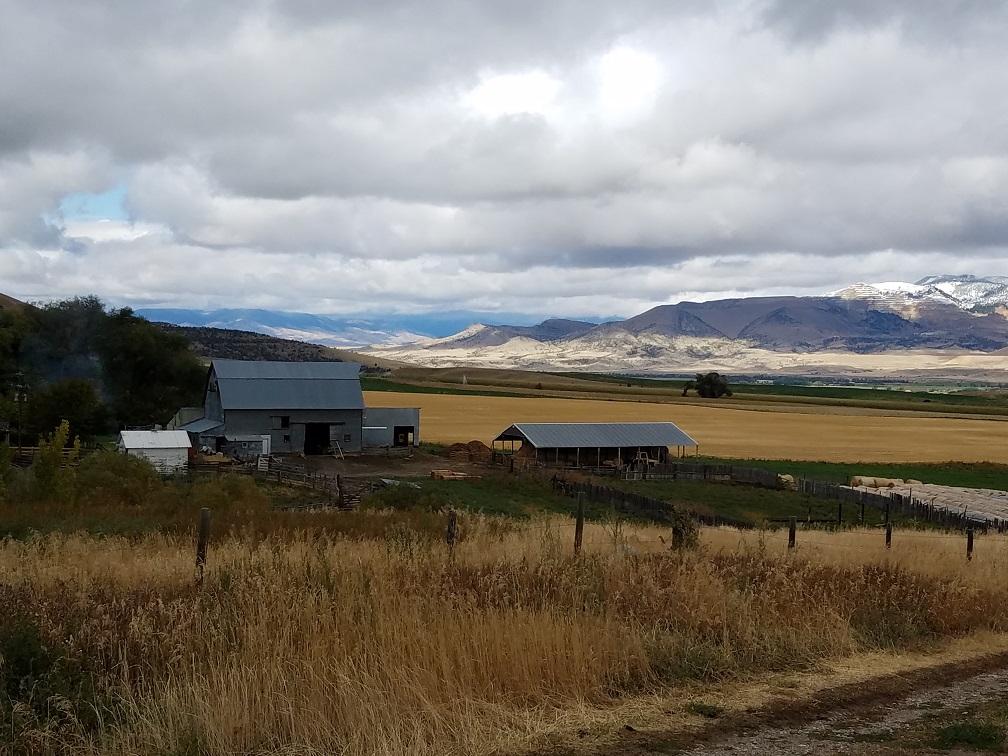 landscape.jpg
