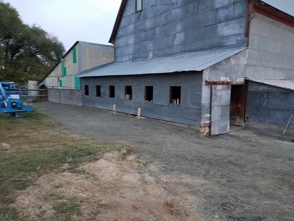 new window openings.jpg