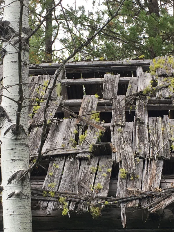 The Kintla Ranch has seen better days, and is a project on the minds of managers at the Flathead National Forest.